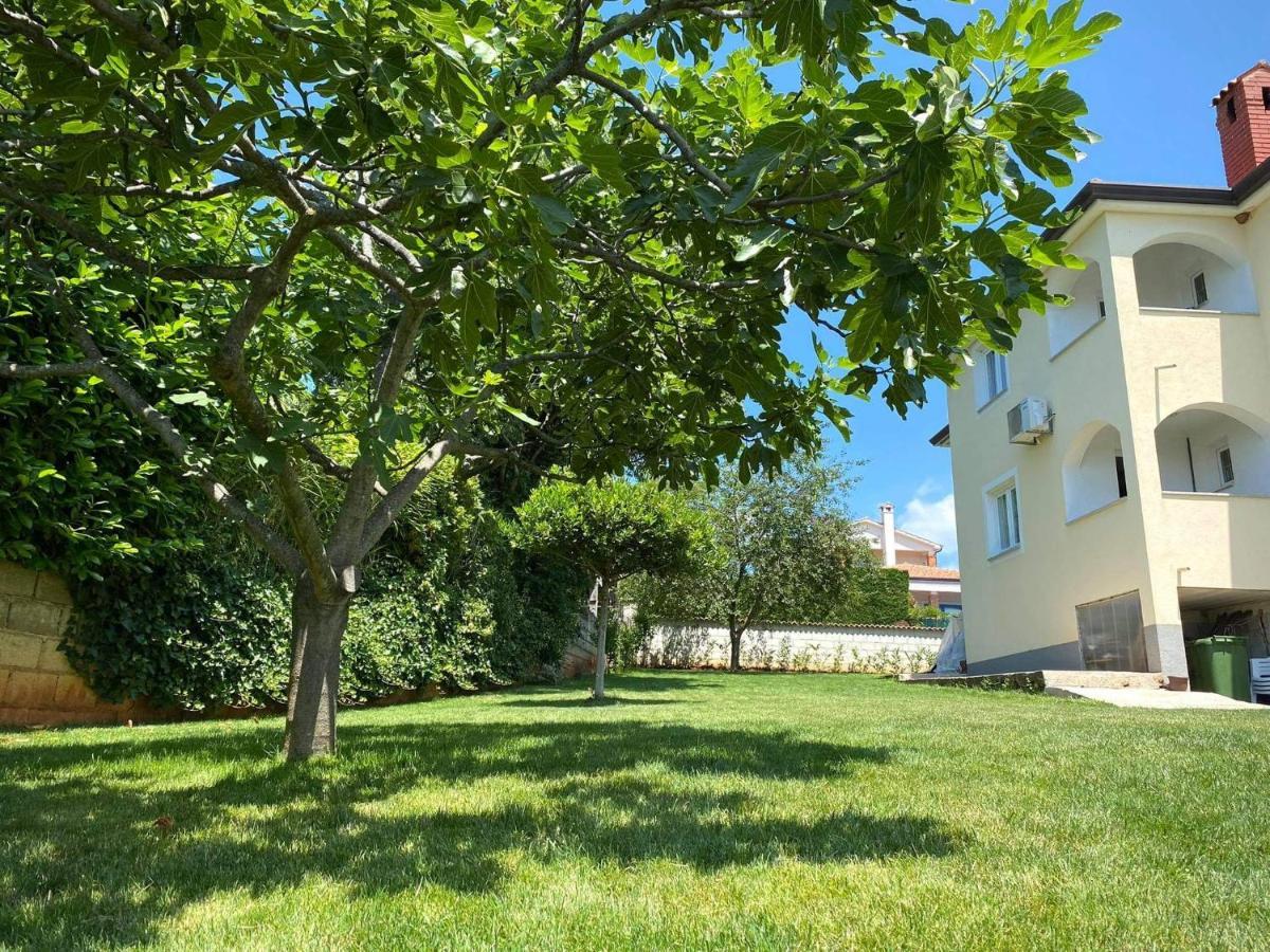 Apartman Luna Sveti Lovrec Pazenaticki Exterior foto